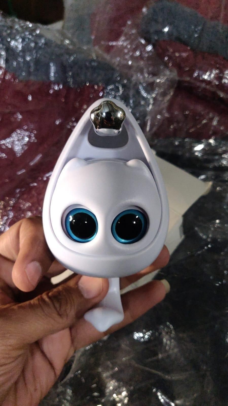 Hook Wall Hangers (Pack of 2)