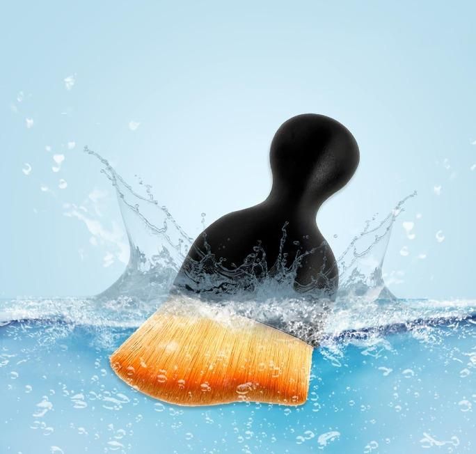 Dust Brush(Pack Of 2)